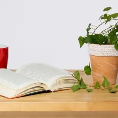 Stwórz piękną doniczkę boho DIY, która odmieni Twój dom