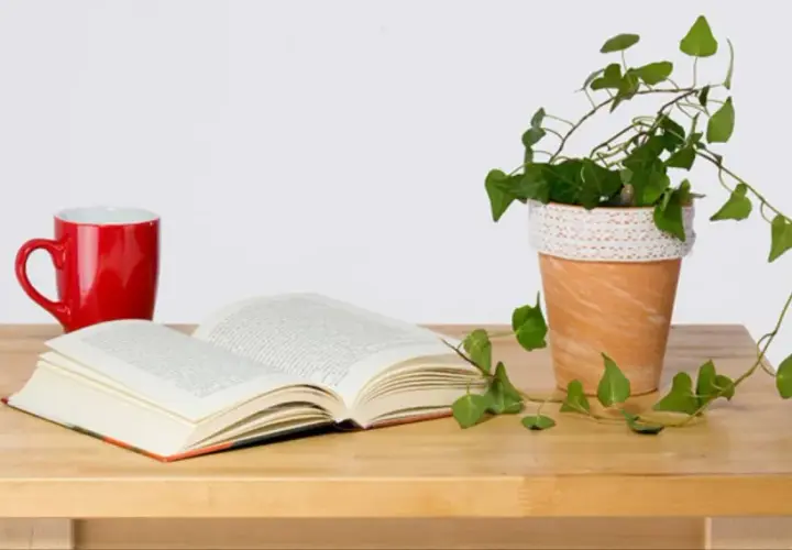 Stwórz piękną doniczkę boho DIY, która odmieni Twój dom