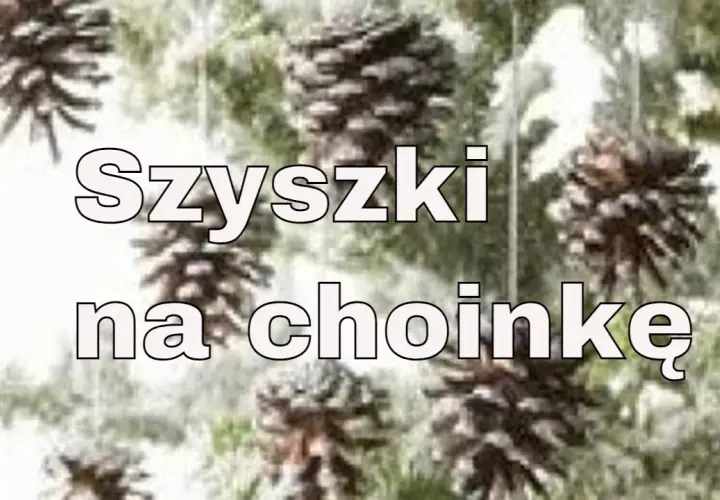 Ozdoby choinkowe z szyszek jak zrobić – proste i efektowne pomysły