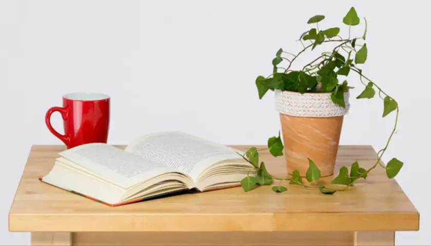 Stwórz piękną doniczkę boho DIY, która odmieni Twój dom