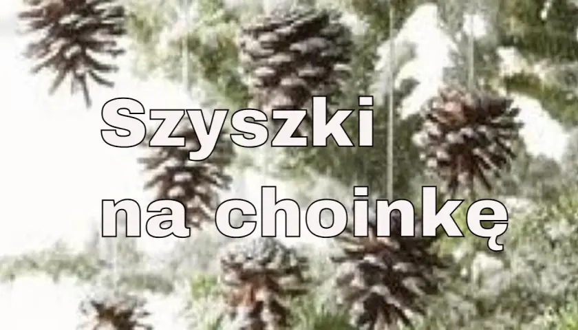 Ozdoby choinkowe z szyszek jak zrobić – proste i efektowne pomysły