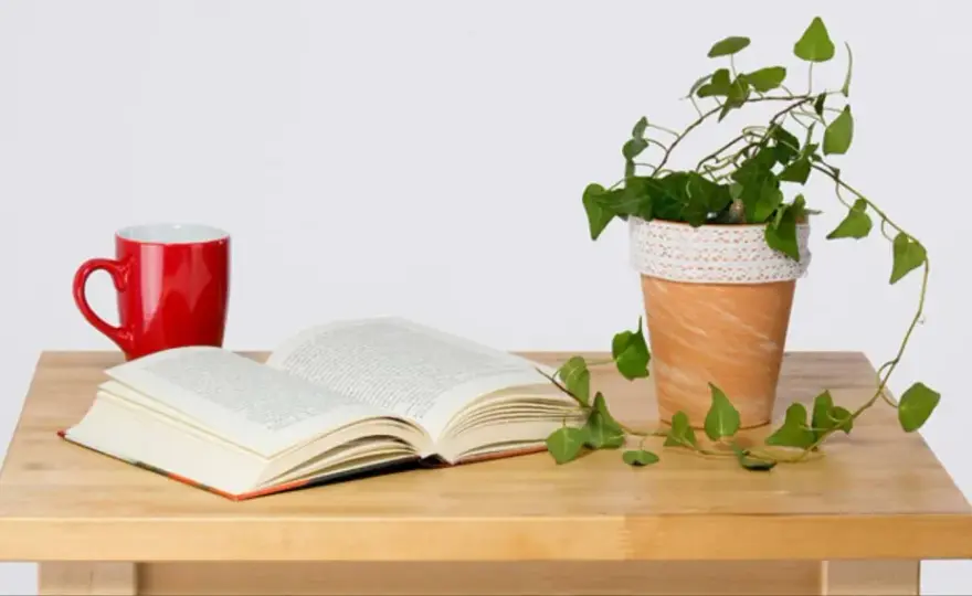 Stwórz piękną doniczkę boho DIY, która odmieni Twój dom