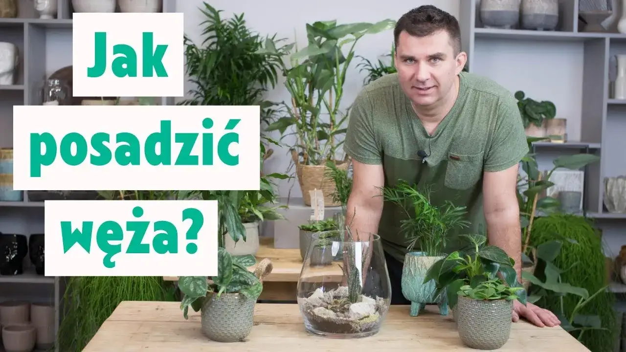 Zdjęcie Ozdoby w szkle jak zrobić – proste techniki i inspiracje DIY